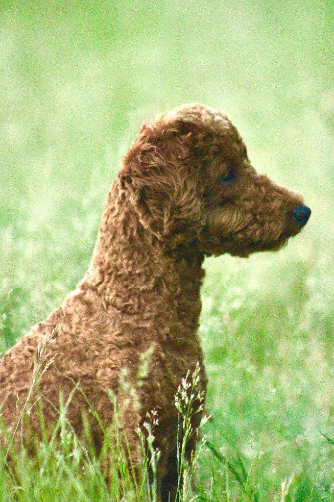 Vivid souvenir of dypsie del rey rakachi